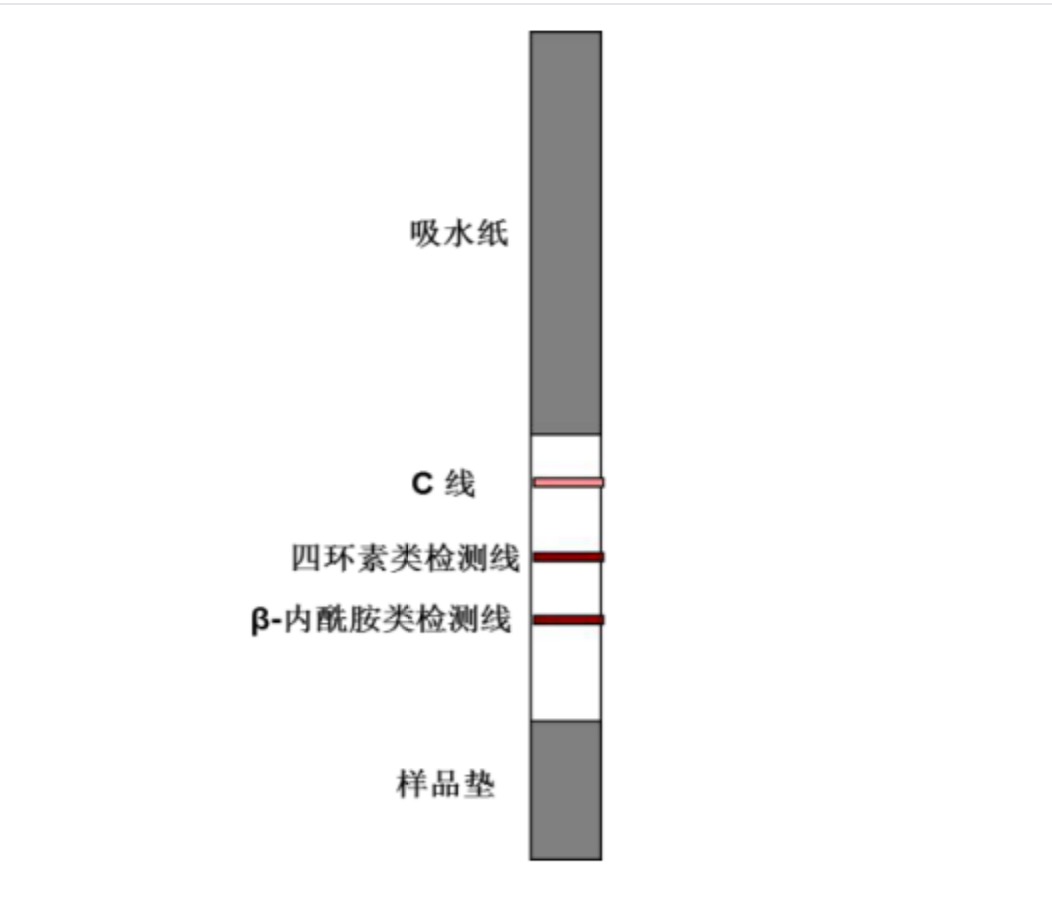 四環(huán)素類(lèi)+β-內酰胺類(lèi)抗生素檢測試紙條.jpg